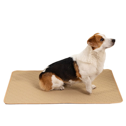 Pet Water Absorption Mat