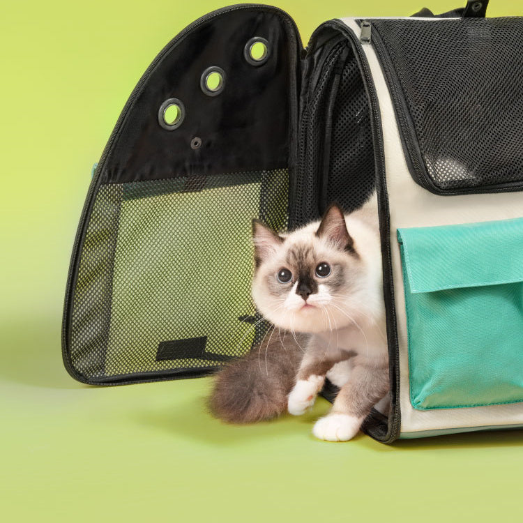 Carry Cat Bag