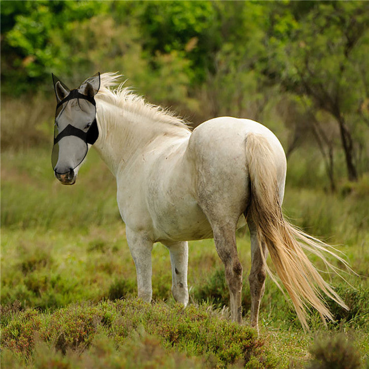 Horse Mosquito And Fly Mask