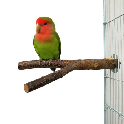 Bird Standing Frame