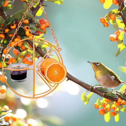 Bird Outdoor Feeding