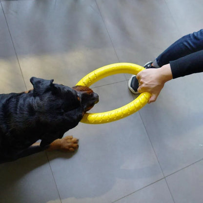 Dog Chewing Ring