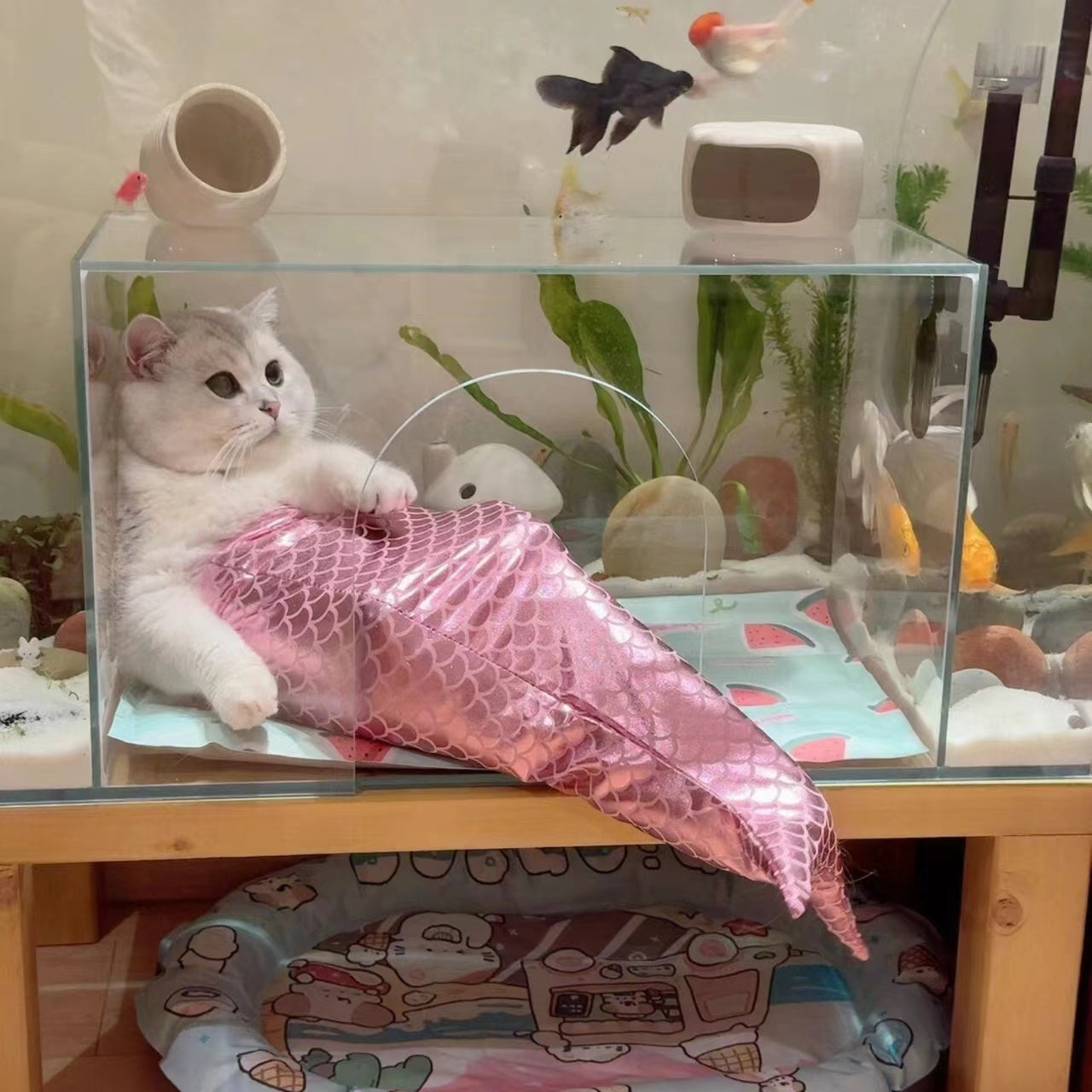 Mermaid Tail Cat Decoration