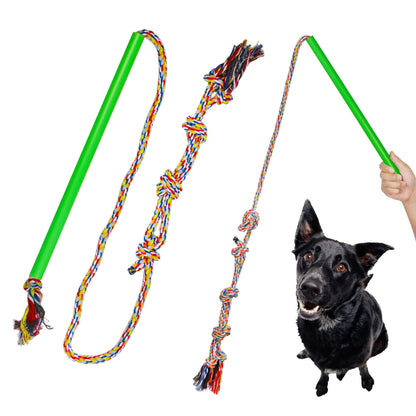 Dog Training Pole