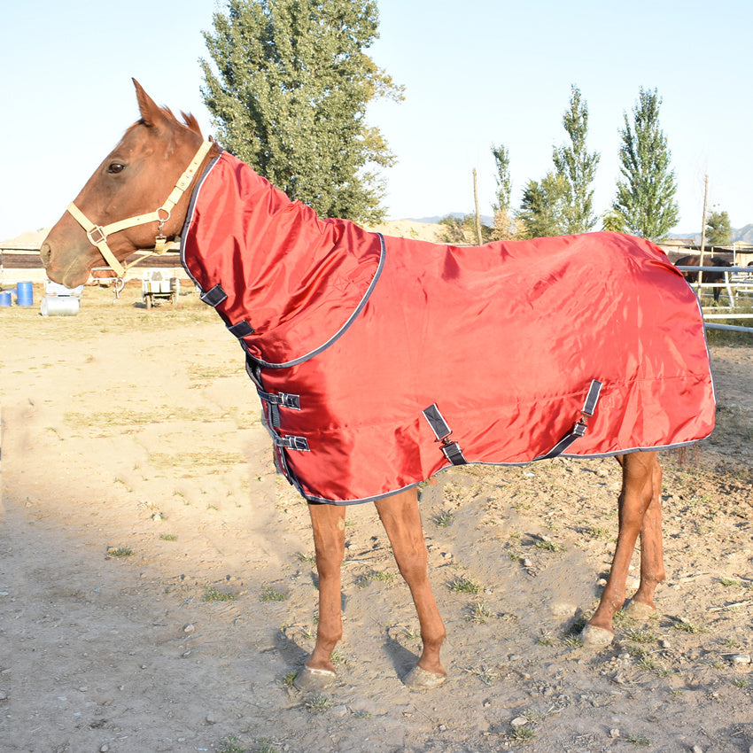 Horse Winter Jacket