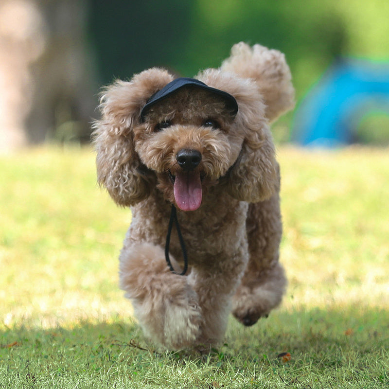 Dog Baseball Cap