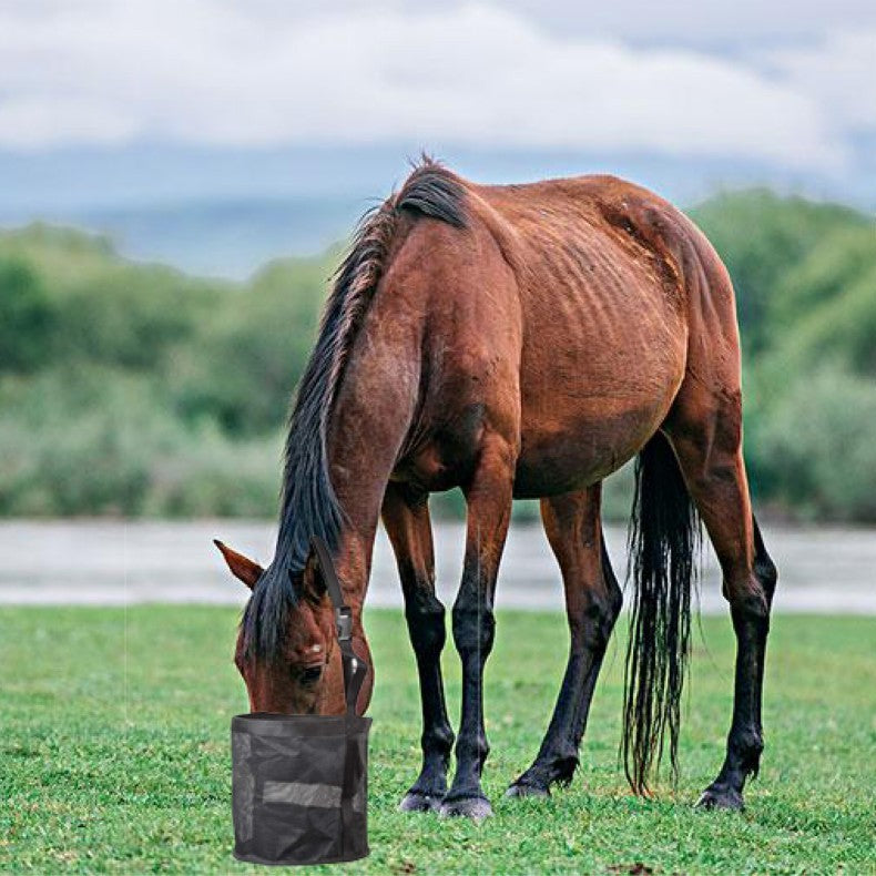 Horse Feeding Bag