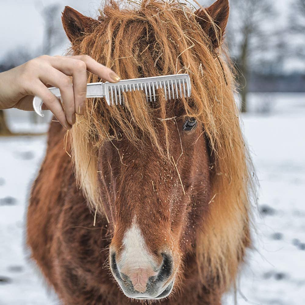 Horse Cleaning Brush