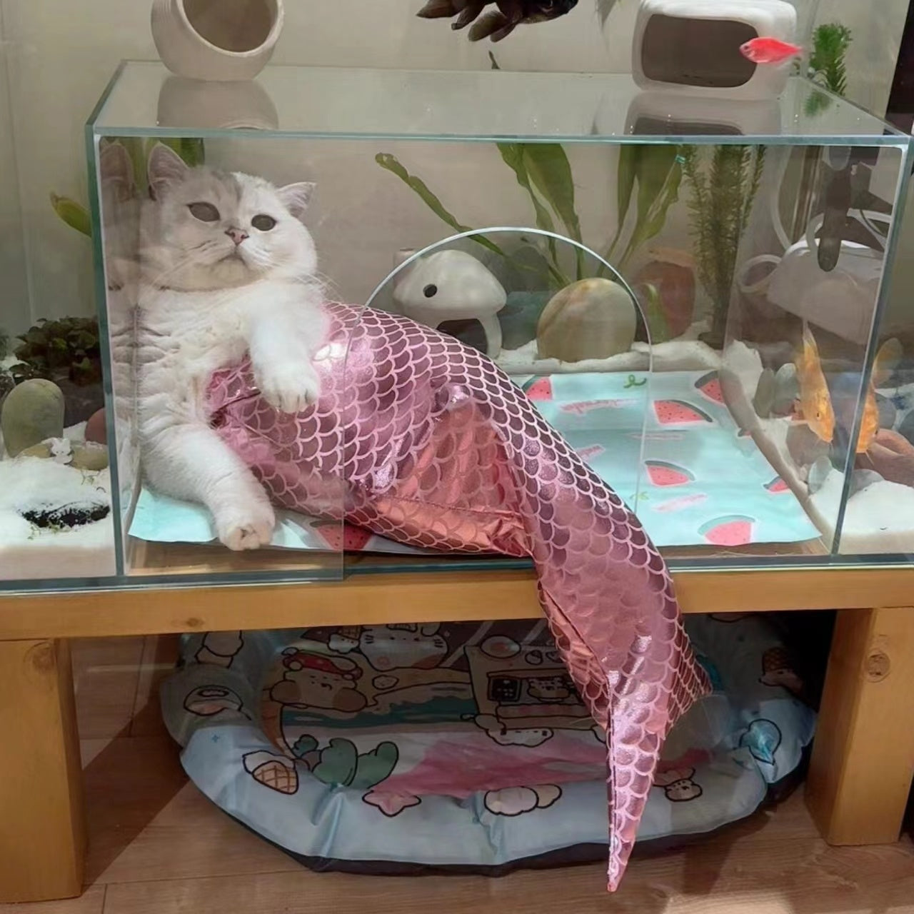 Mermaid Tail Cat Decoration